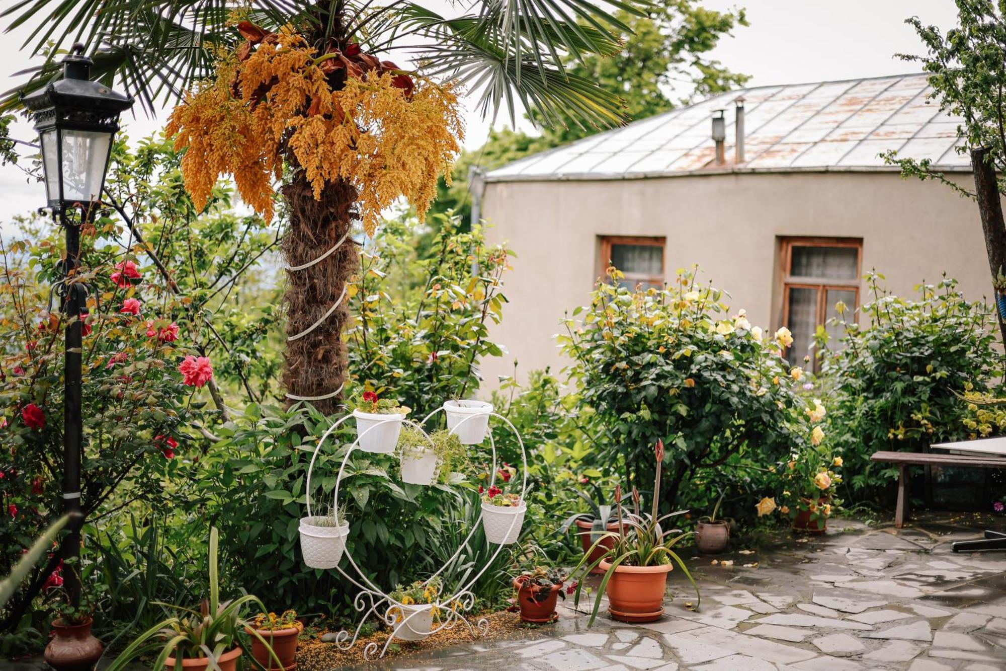 Hotel Sighnaghi Garden House Esterno foto